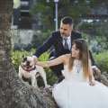 Verificación de referencias y muestras de portafolios para fotógrafos de bodas