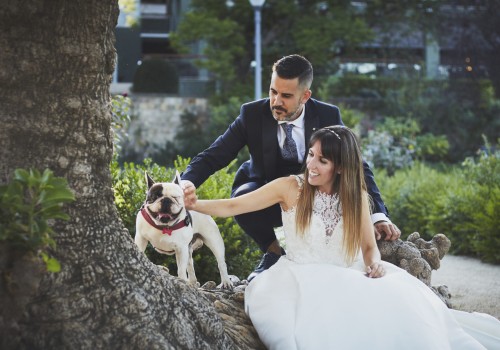 Verificación de referencias y muestras de portafolios para fotógrafos de bodas